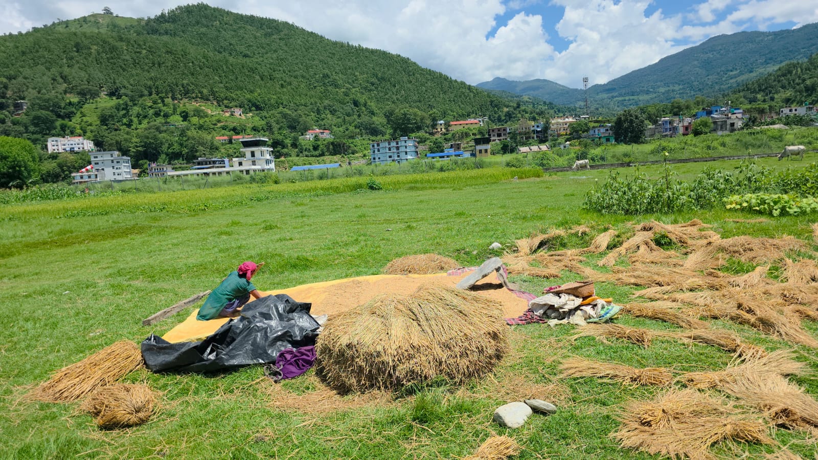 -भित्र्याउँदै-कृषक-2-1754643677.jpg