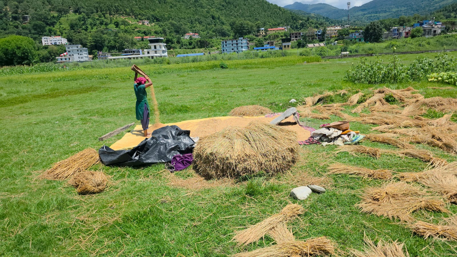 -भित्र्याउँदै-कृषक-3-1754643680.jpg