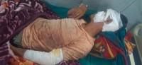 बाघको आक्रमणबाट एक जना गम्भीर घाइते