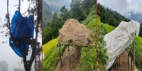 बाली जोगाउन रात भर जाग्राम