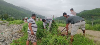 हरियाली प्रवर्द्धनका लागि साँफेबगरमा विभिन्न प्रजातिका फूल रोपियो