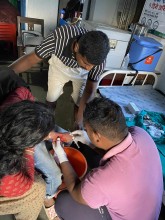 राजनितिसंगसंगै स्वास्थ्य सेवा