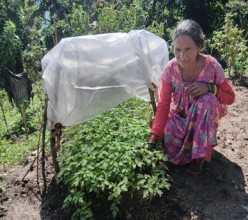 जलवायु–स्मार्ट कृषि मार्फत जीविकोपार्जन सुदृढीकरण: काली भुलको प्रेरणादायी यात्रा