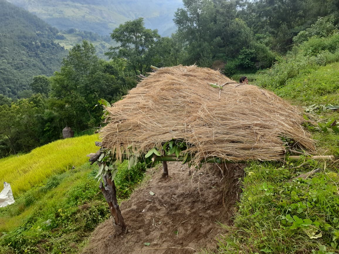 ओत-लाग्न-बनाईएका-टहरा-1756961221.jpeg