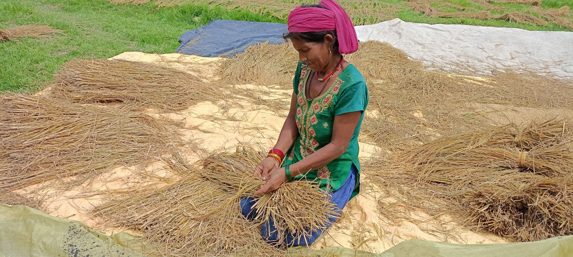 धान-भित्र्याउँदै-कृषक-1754643691.jpeg
